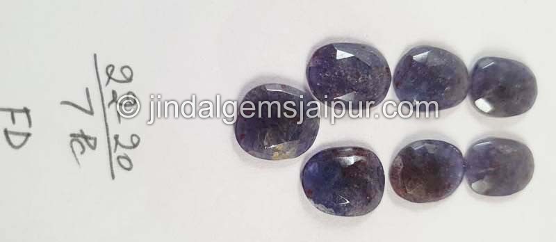 Iolite Sunstone Rose Cut Slices